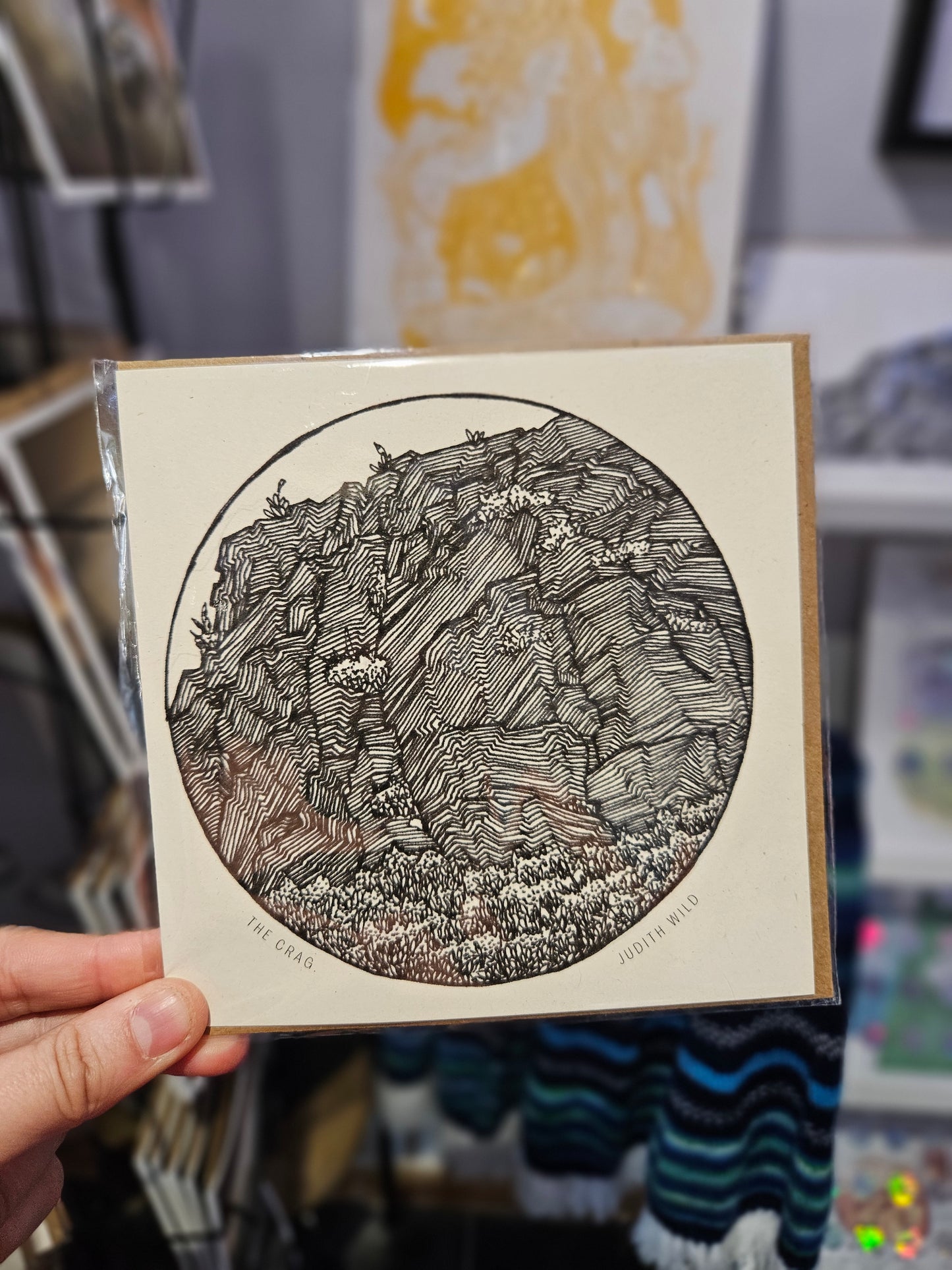 Birds, Beasts and Inky Water Worlds Cards