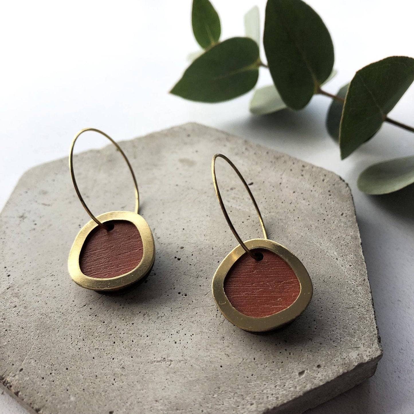 Coloured/Gold Circle Hoop Earrings