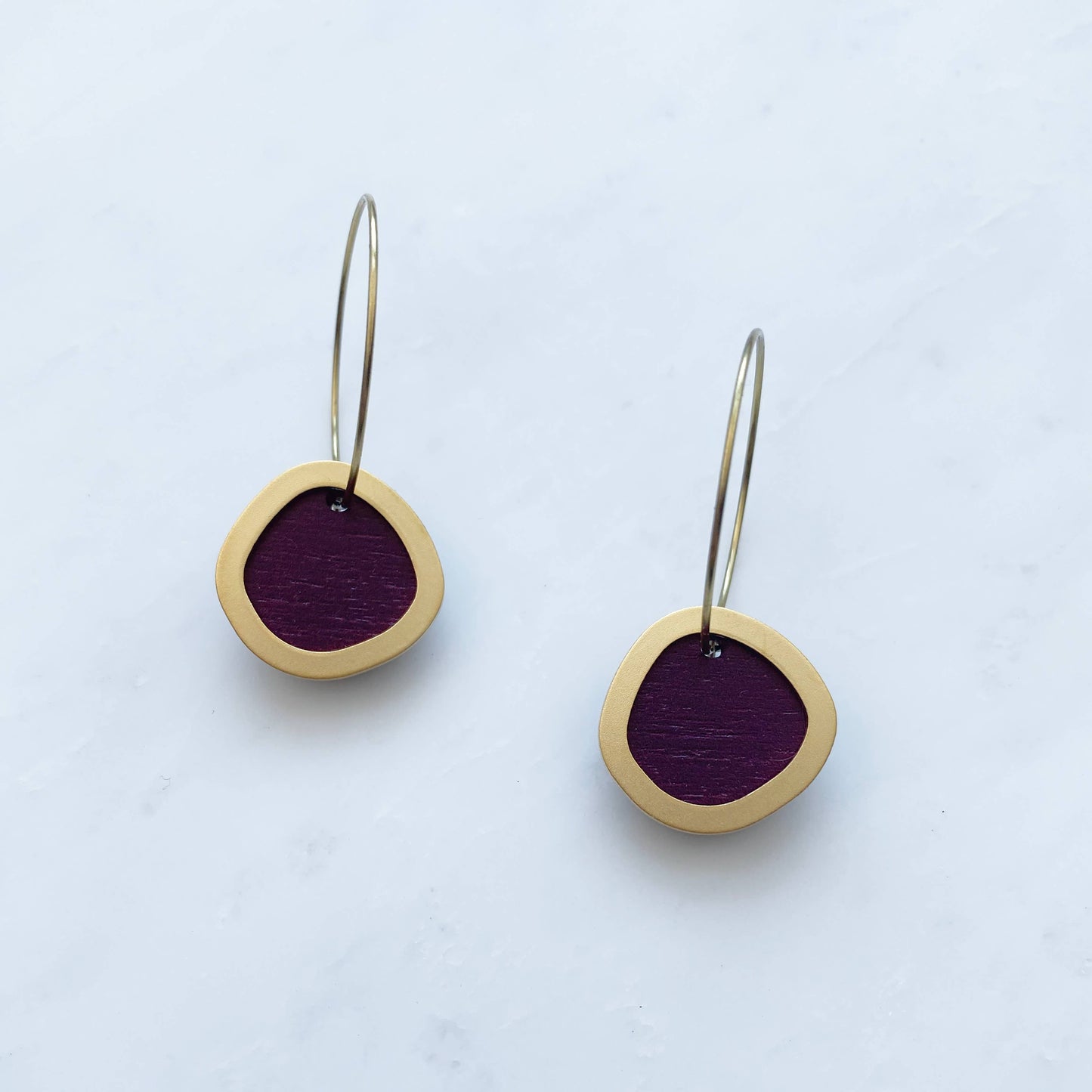 Coloured/Gold Circle Hoop Earrings