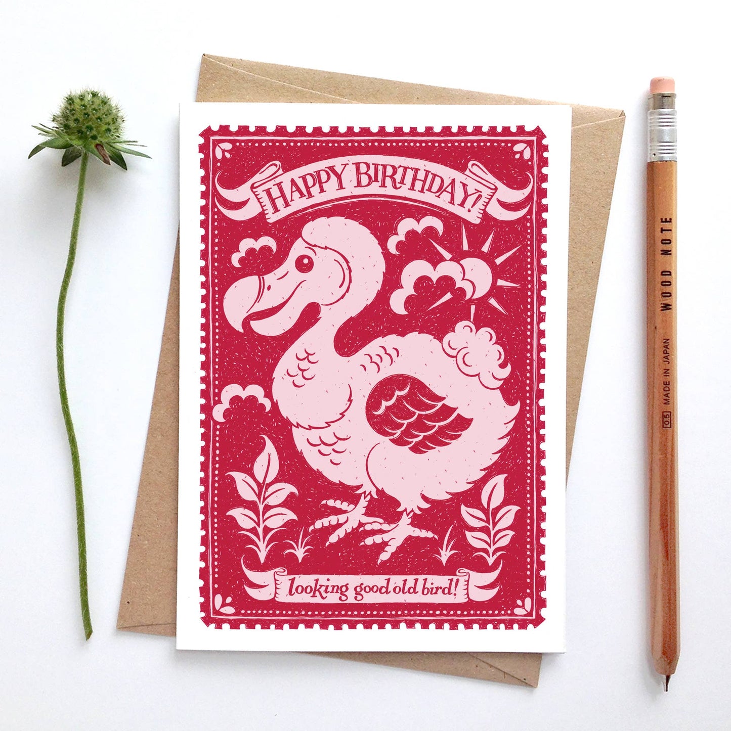 Old Bird Birthday Card
