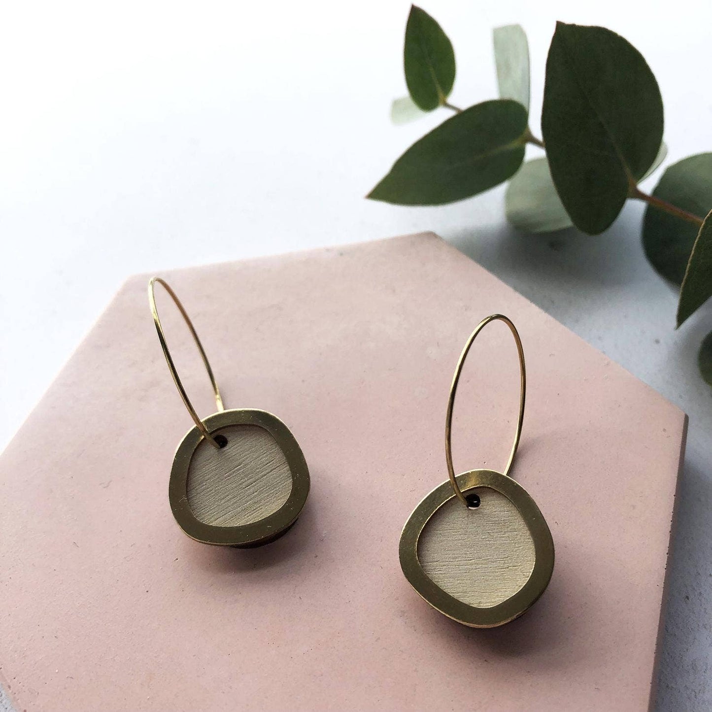 Coloured/Gold Circle Hoop Earrings