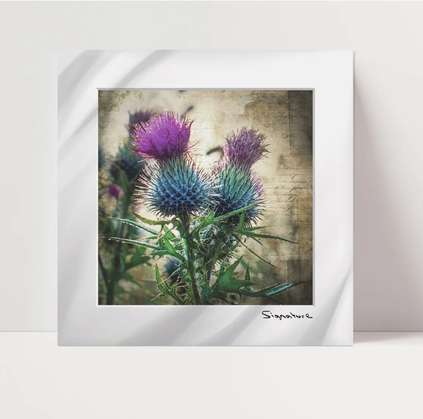 Thistle Emblem Square Print 10x10in
