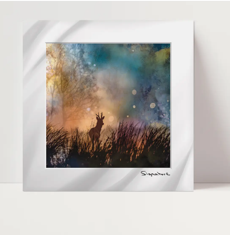 Roe Deer Square Print 10x10in