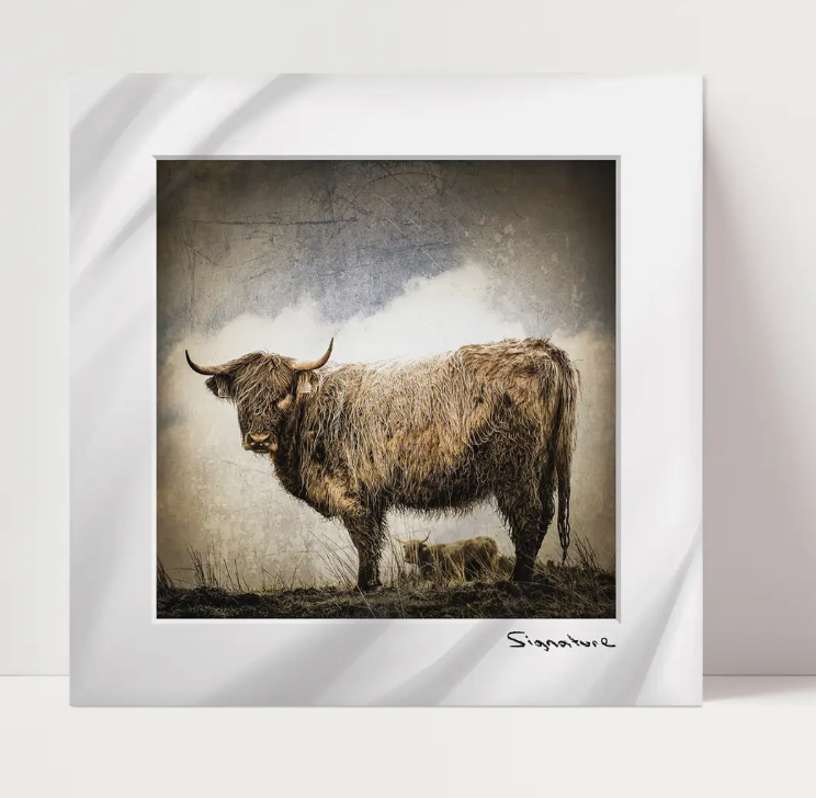 The Coo Family Square Print 10x10in
