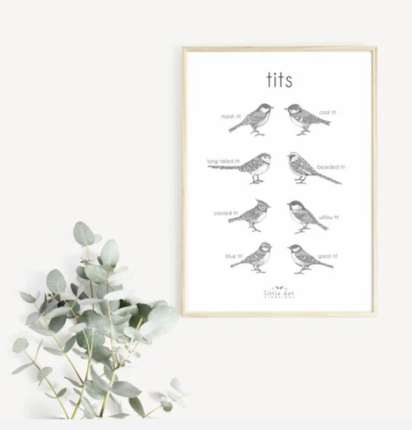 Tits/Bird A3 Print - LittleDot