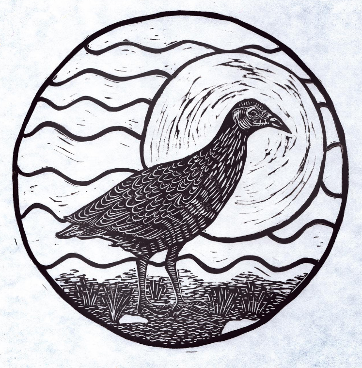 CornCrake Lino Art - Judith Wild