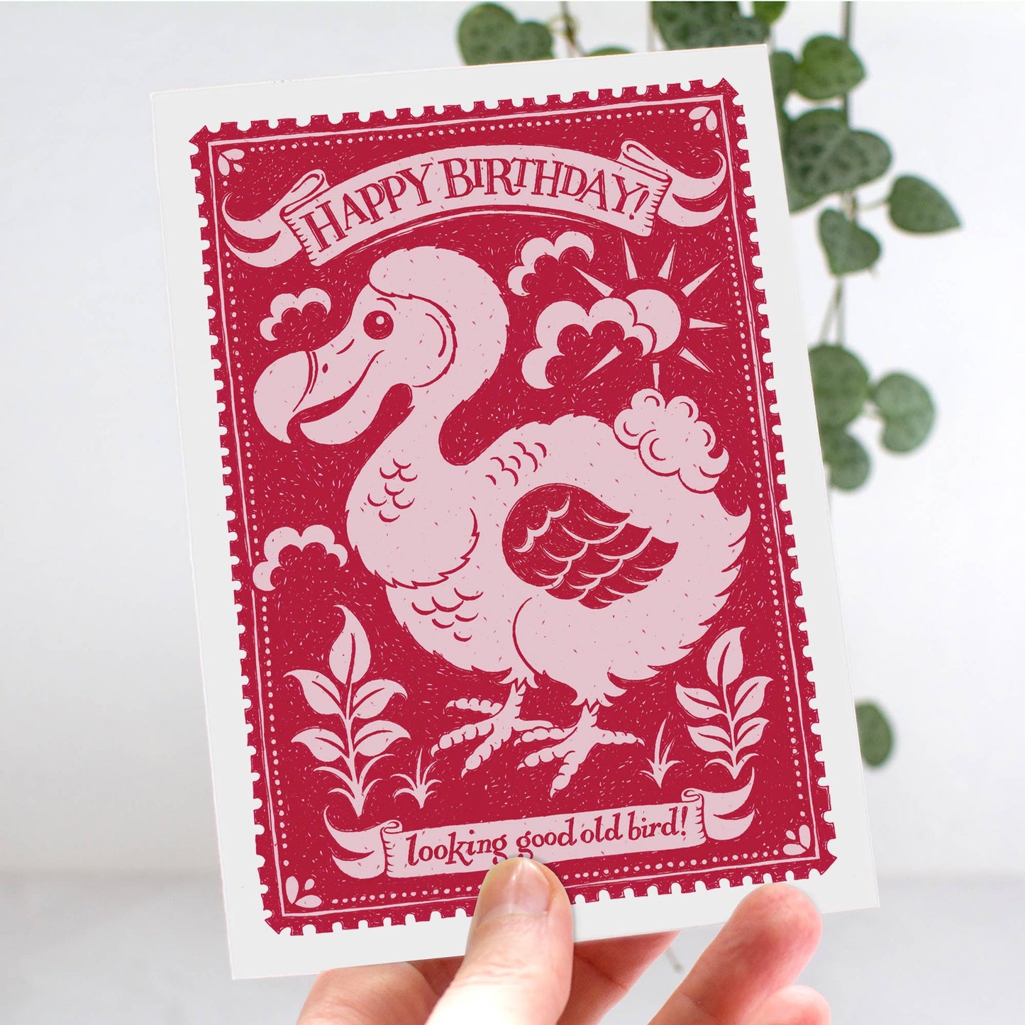 Old Bird Birthday Card