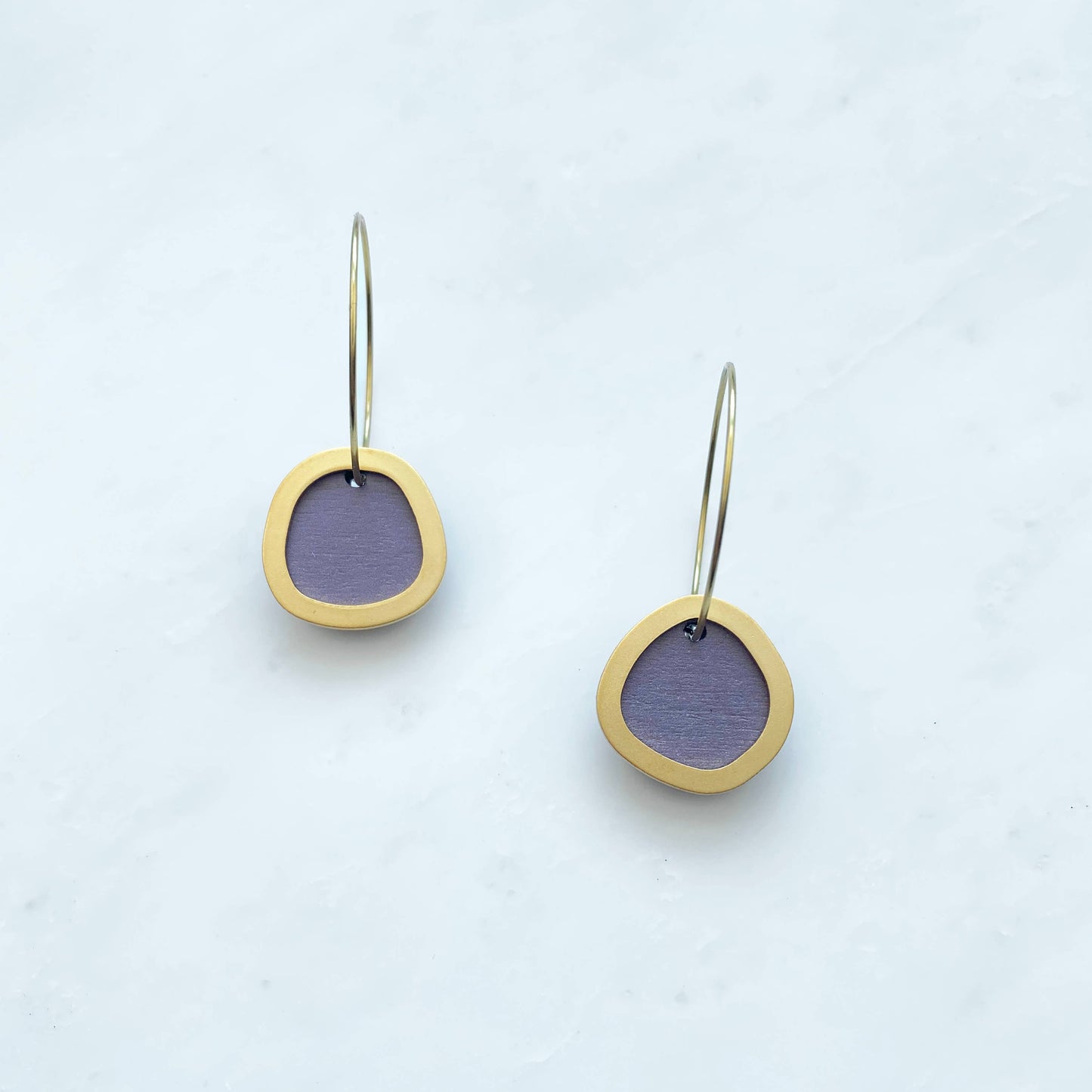 Coloured/Gold Circle Hoop Earrings