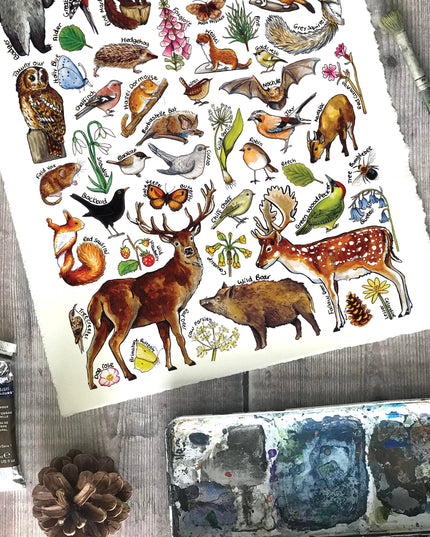 Woodland wildlife Art Blank Greeting Card