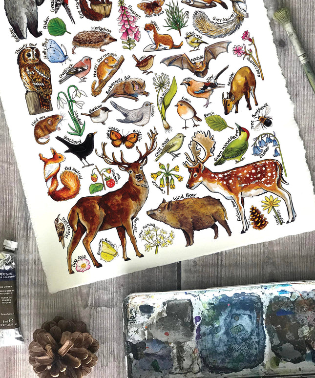 Woodland wildlife Art Blank Greeting Card