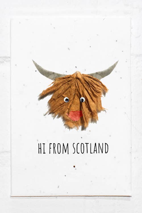 Scotland, Highland Bull Eco-friendly Plantable Seeded