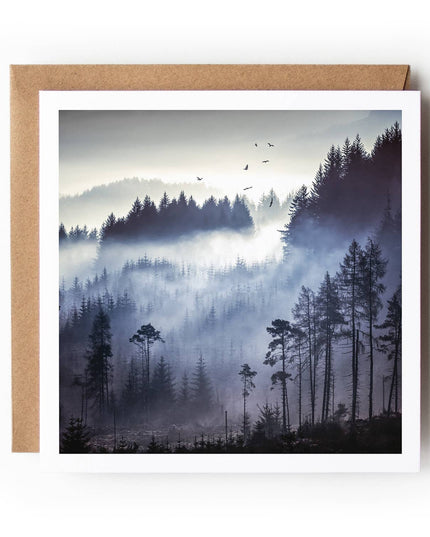 Dukes Pass Soar - Textured Card
