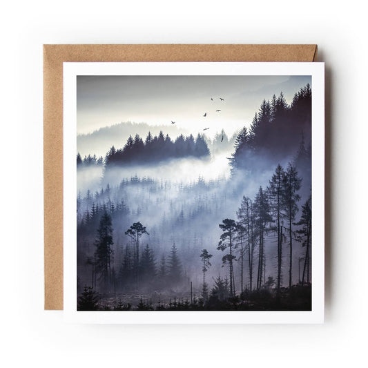 Dukes Pass Soar - Textured Card
