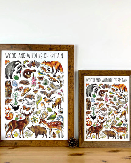 Woodland wildlife Art Blank Greeting Card