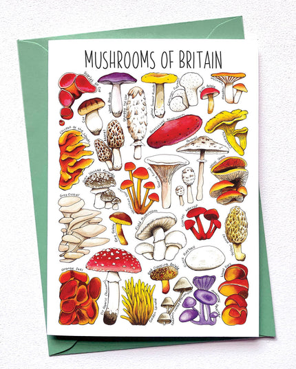 Mushrooms of Britain Art Blank Greeting Card