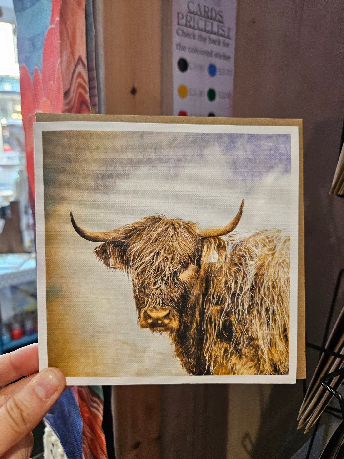 Highland Cow Card