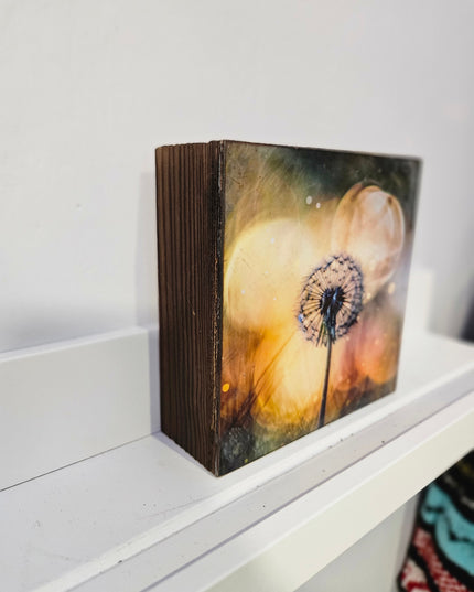 Encaustic Photography Art Box