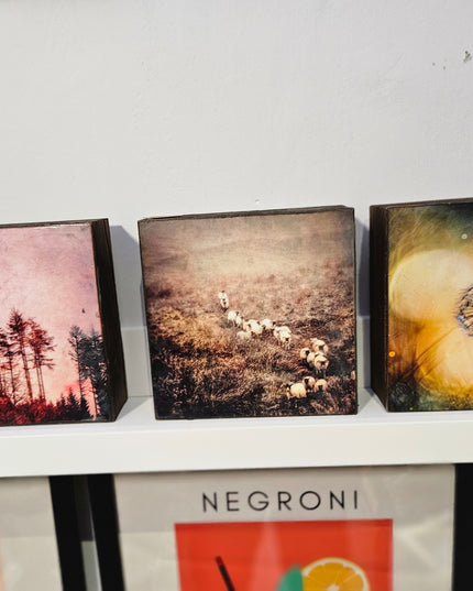 Encaustic Photography Art Box Dandies