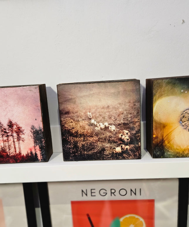 Encaustic Photography Art Box Dandies