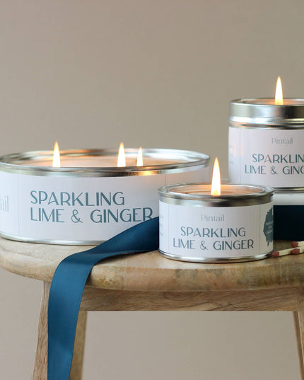 Sparkling Lime and Ginger Paint Pot Candle