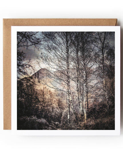 Ben A'an Birches