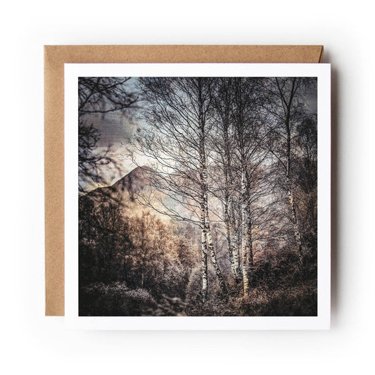 Ben A'an Birches