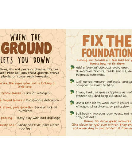 The Dirt on Veg Gardening Book – Beginner’s Veg Garden Guide