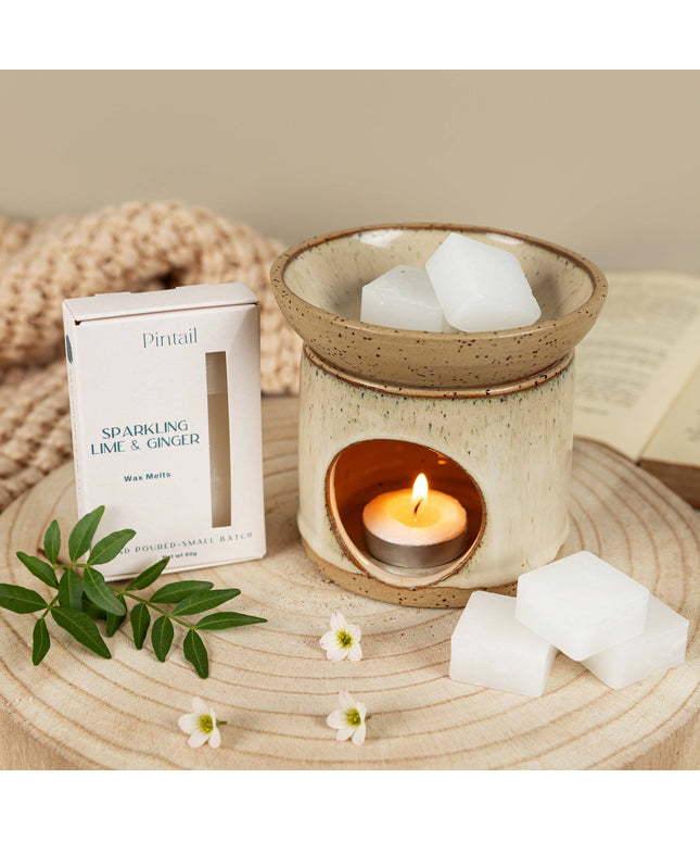 Sparkling Lime & Ginger Wax Melts