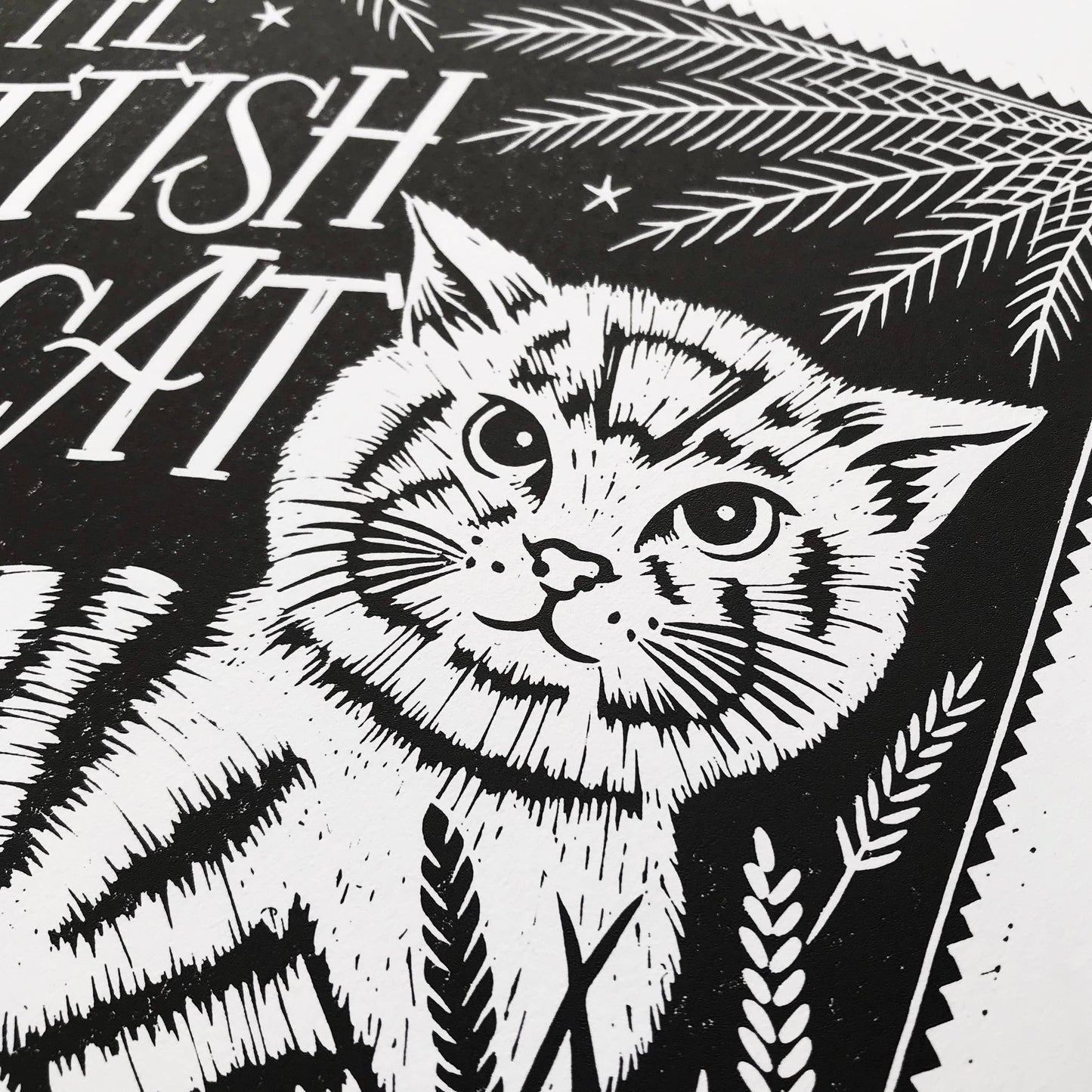 Scottish Wildcat Print