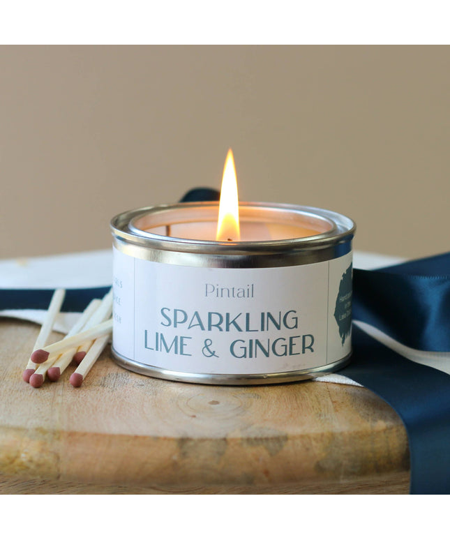 Sparkling Lime and Ginger Paint Pot Candle