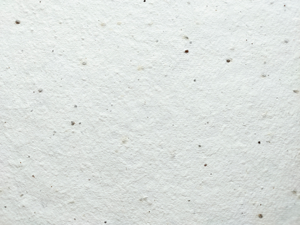 Plantable Greeting Card - Love you more than coffee