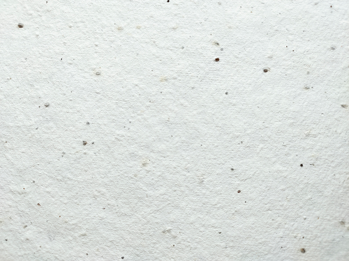 Plantable Greeting Card - Love you more than coffee
