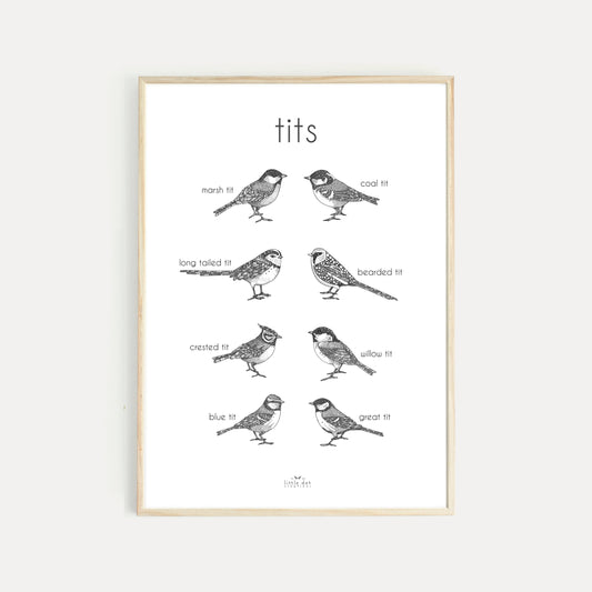 Tits - A3 Print