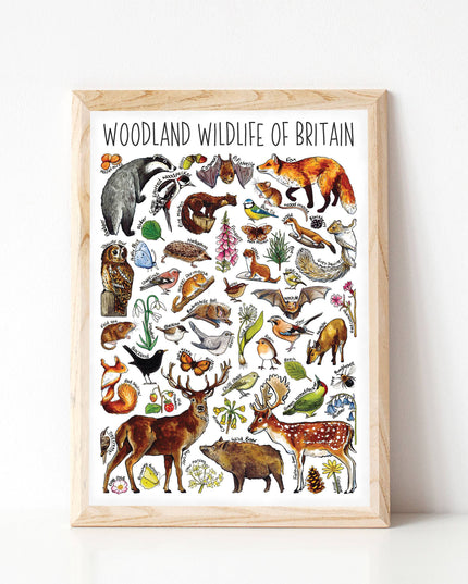 Woodland wildlife Art Blank Greeting Card