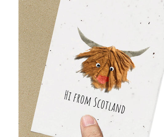 Scotland, Highland Bull Eco-friendly Plantable Seeded