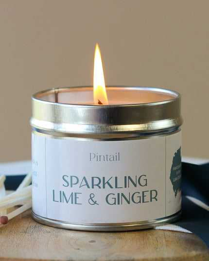 Sparkling Lime and Ginger Classic Tin Candles | Candles
