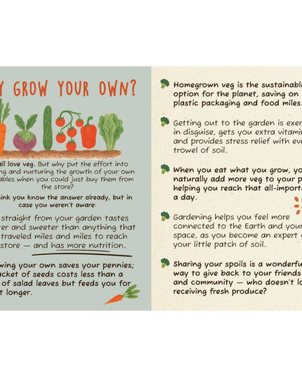 The Dirt on Veg Gardening Book – Beginner’s Veg Garden Guide