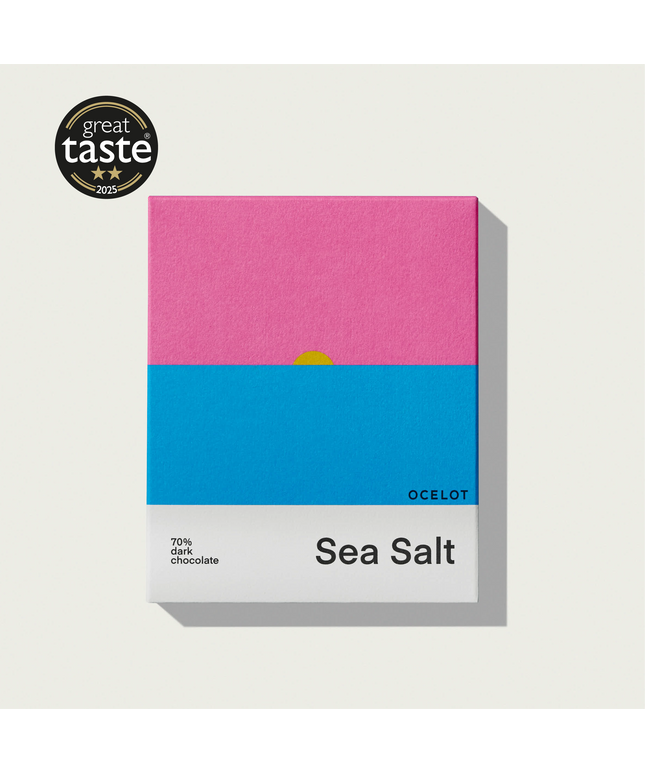 Organic 70% Dark Chocolate bar * Sea Salt  70g