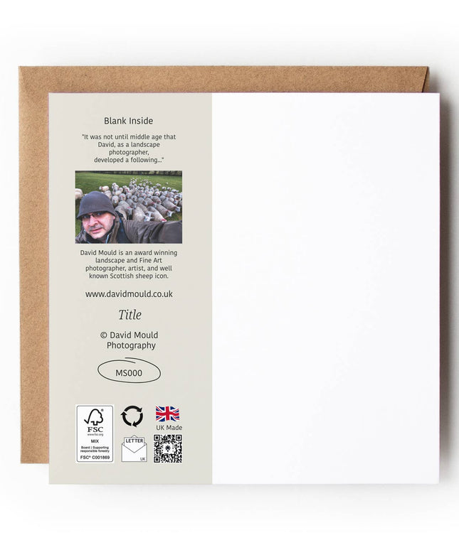 Roe Deer Textured Card