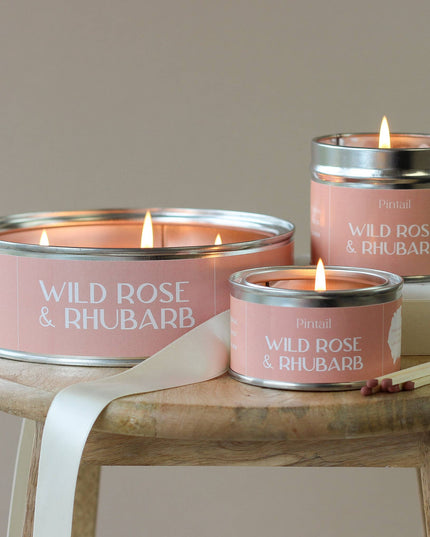 Wild Rose and Rhubarb Paint Pot Candle | Candles in Tins