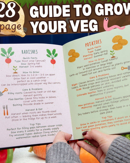 The Dirt on Veg Gardening Book – Beginner’s Veg Garden Guide