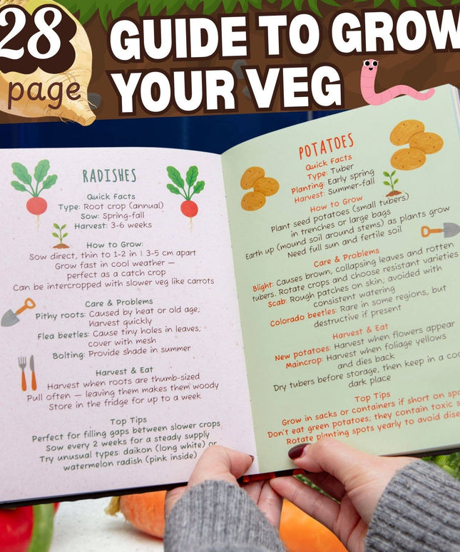 The Dirt on Veg Gardening Book – Beginner’s Veg Garden Guide