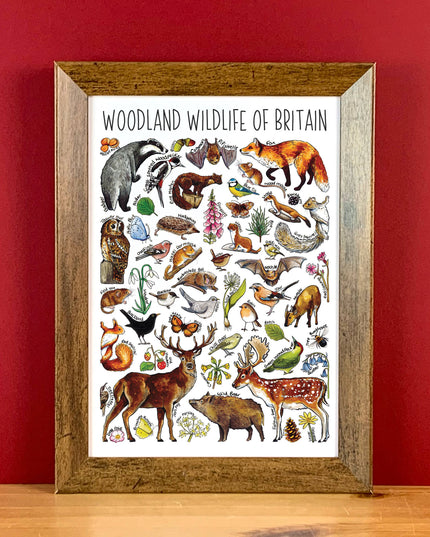 Woodland wildlife Art Blank Greeting Card