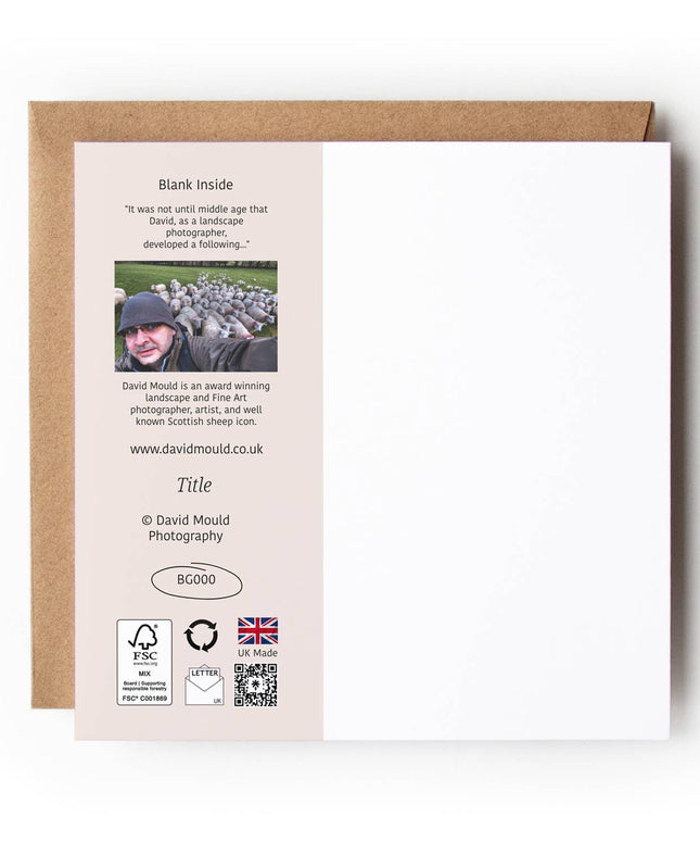 Morning Stroll-Highland Cow Textured Card