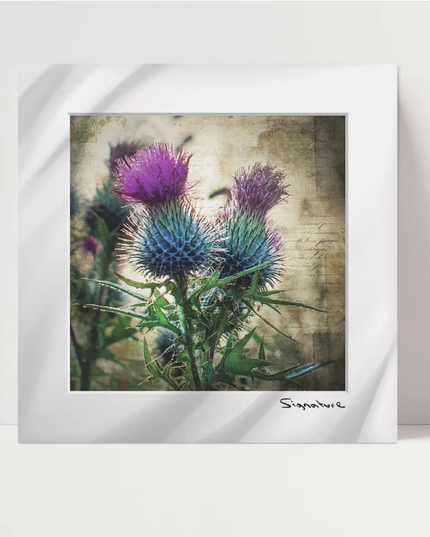 Thistle Emblem Square Print 10x10in