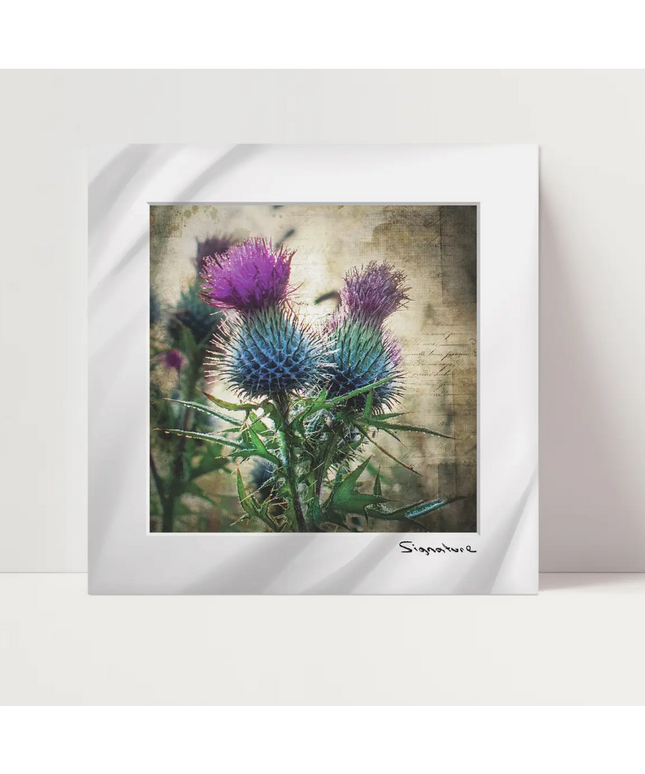 Thistle Emblem Square Print 10x10in