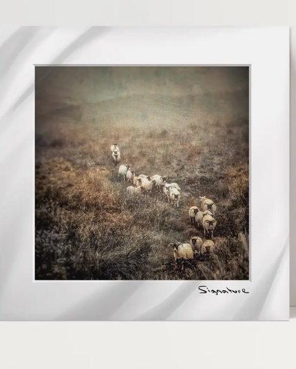 Downhill Sheep Square Print 10x10in