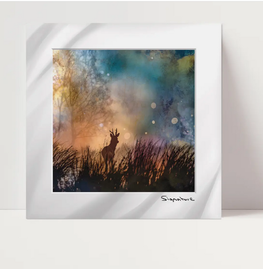 Roe Deer Square Print 10x10in