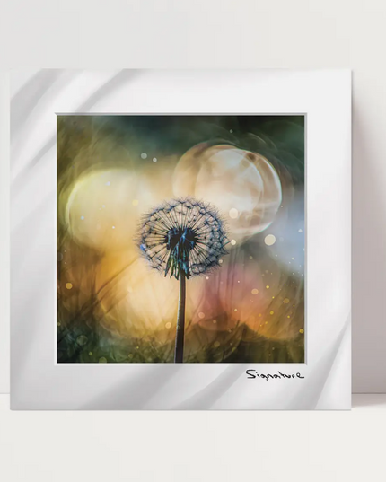 Dandy Square Print 10x10in