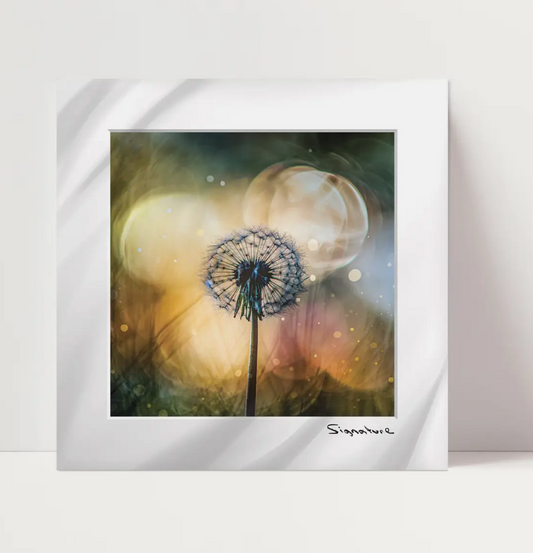 Dandy Square Print 10x10in